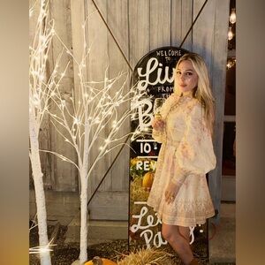 Zimmermann Floral Beige and Brown Dress